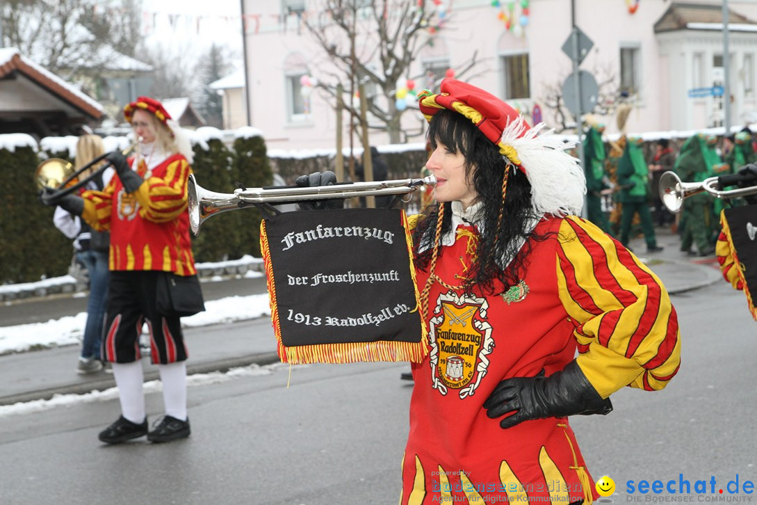 Narrentreffen-Radolfzell-20012013-bodensee-community-seechat-de_109.JPG