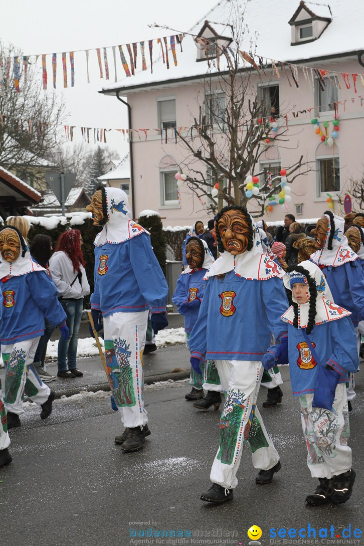 Narrentreffen-Radolfzell-20012013-bodensee-community-seechat-de_117.JPG