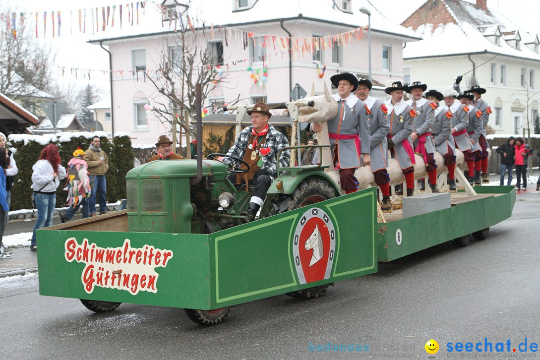Narrentreffen-Radolfzell-20012013-bodensee-community-seechat-de_132.JPG