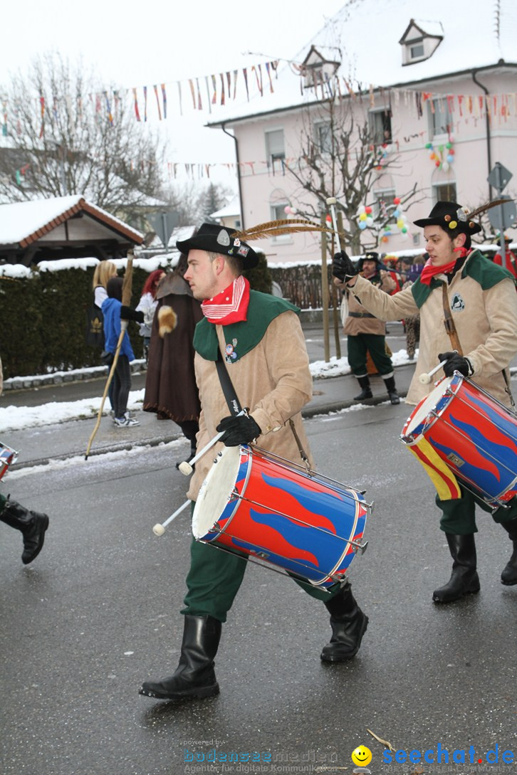 Narrentreffen-Radolfzell-20012013-bodensee-community-seechat-de_140.JPG