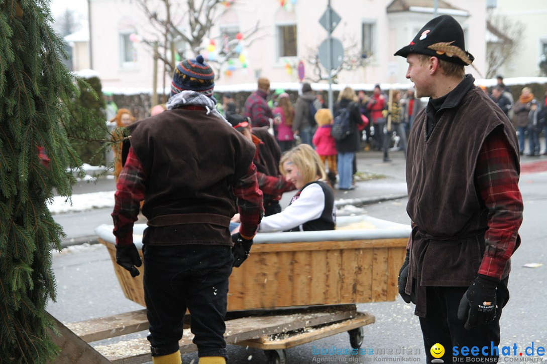 Narrentreffen-Radolfzell-20012013-bodensee-community-seechat-de_178.JPG