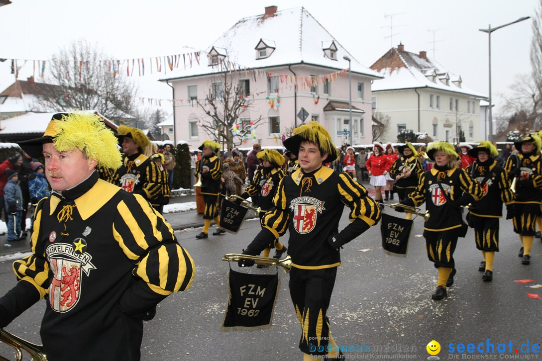 Narrentreffen-Radolfzell-20012013-bodensee-community-seechat-de_193.JPG