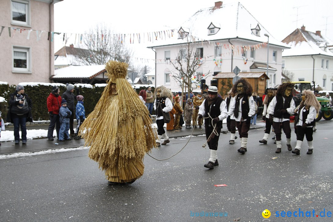 Narrentreffen-Radolfzell-20012013-bodensee-community-seechat-de_203.JPG