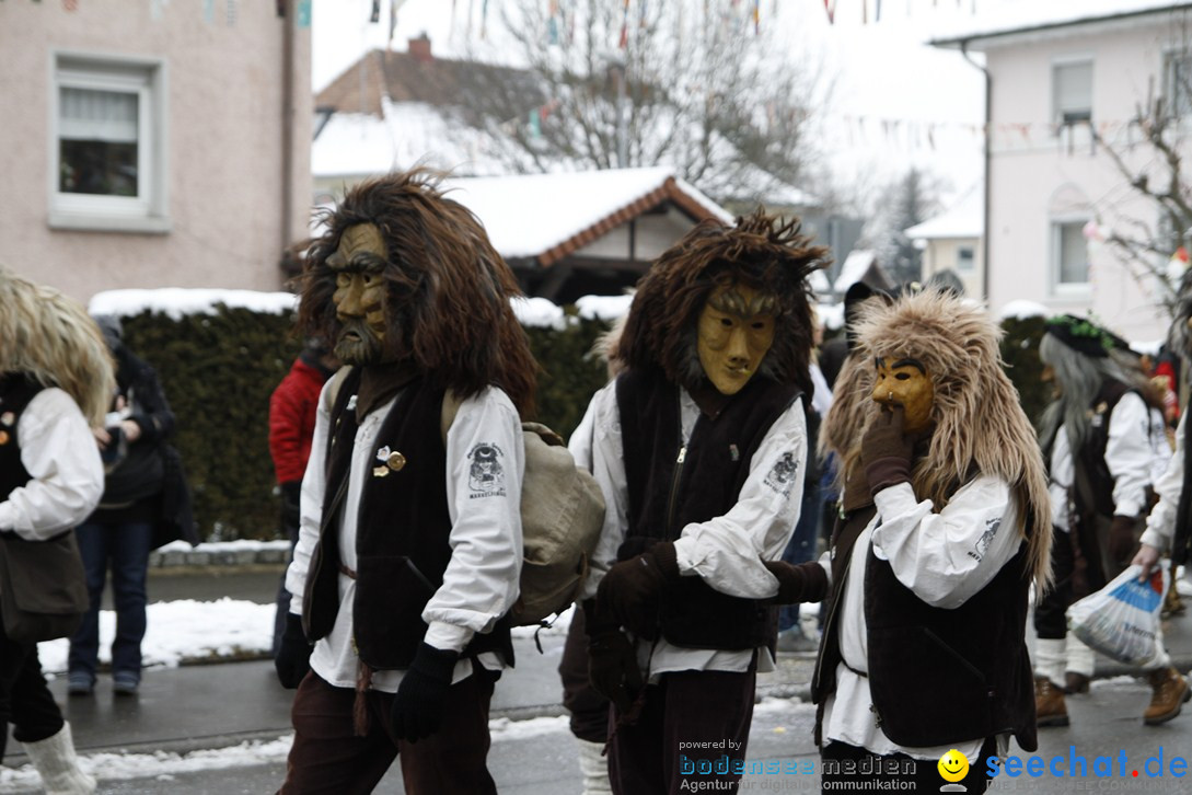 Narrentreffen-Radolfzell-20012013-bodensee-community-seechat-de_204.JPG