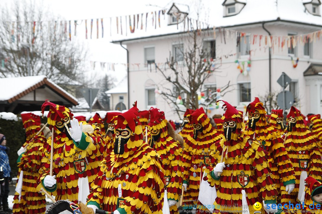 Narrentreffen-Radolfzell-20012013-bodensee-community-seechat-de_223.JPG