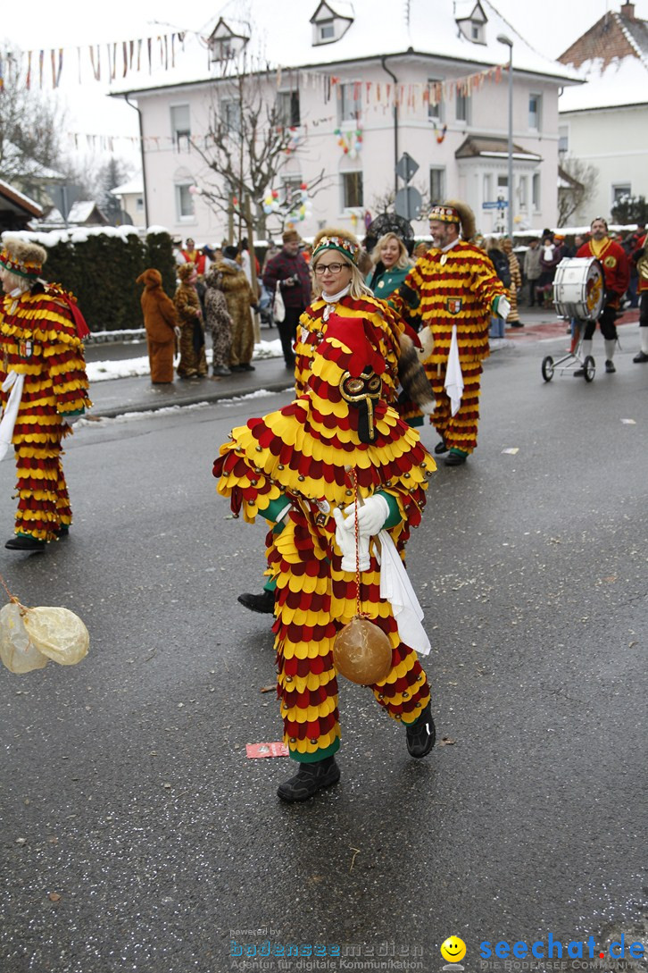 Narrentreffen-Radolfzell-20012013-bodensee-community-seechat-de_228.JPG
