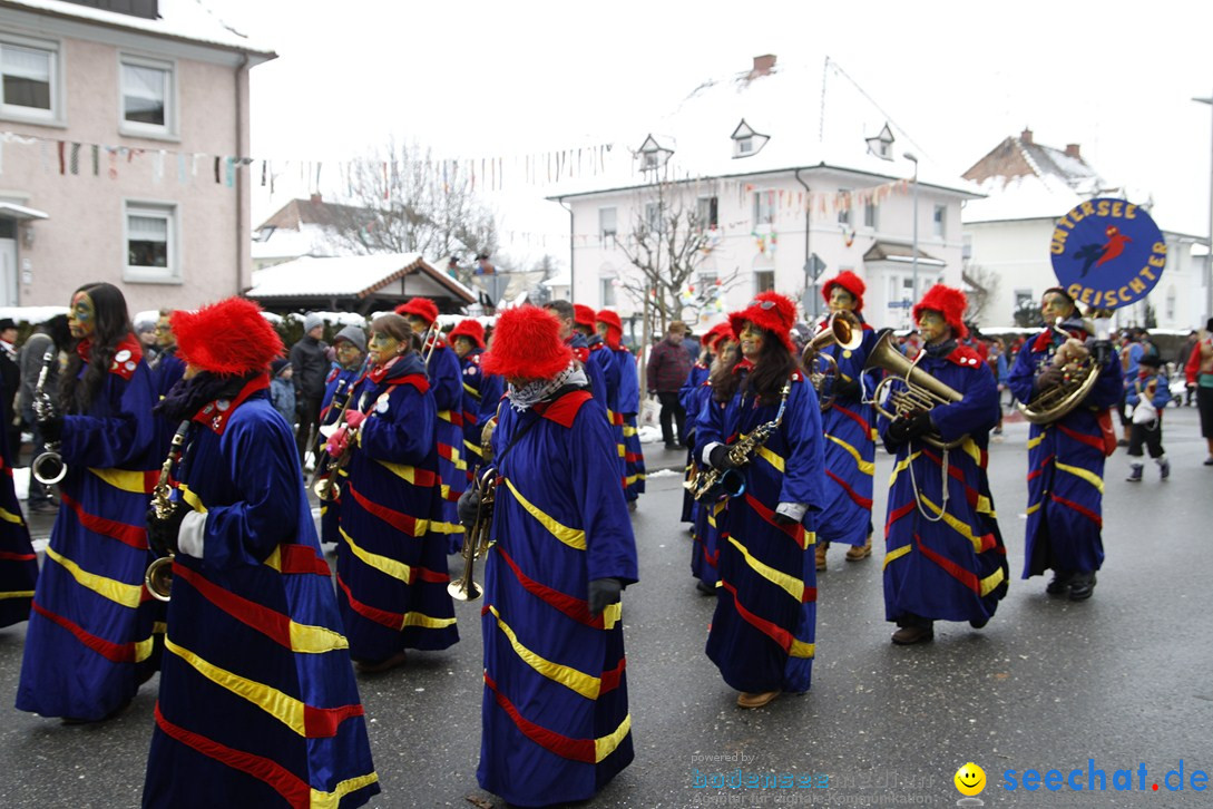 Narrentreffen-Radolfzell-20012013-bodensee-community-seechat-de_247.JPG