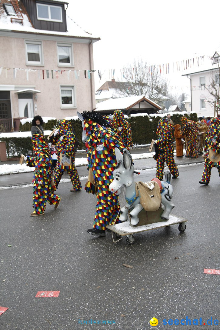 Narrentreffen-Radolfzell-20012013-bodensee-community-seechat-de_255.JPG
