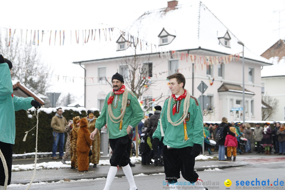 Narrentreffen-Radolfzell-20012013-bodensee-community-seechat-de_263.JPG