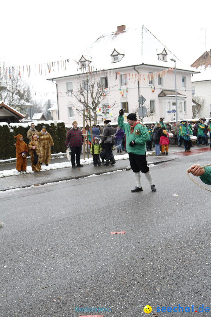 Narrentreffen-Radolfzell-20012013-bodensee-community-seechat-de_264.JPG