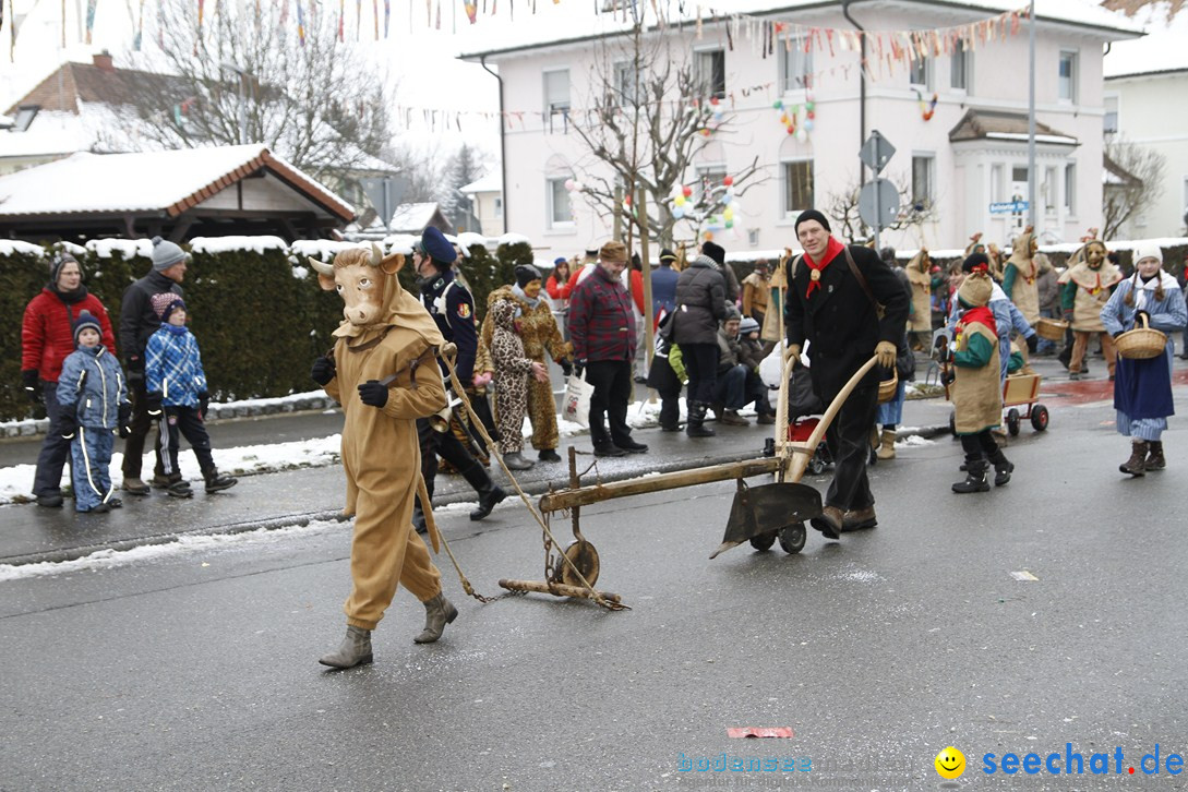 Narrentreffen-Radolfzell-20012013-bodensee-community-seechat-de_277.JPG
