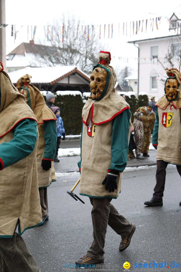 Narrentreffen-Radolfzell-20012013-bodensee-community-seechat-de_280.JPG