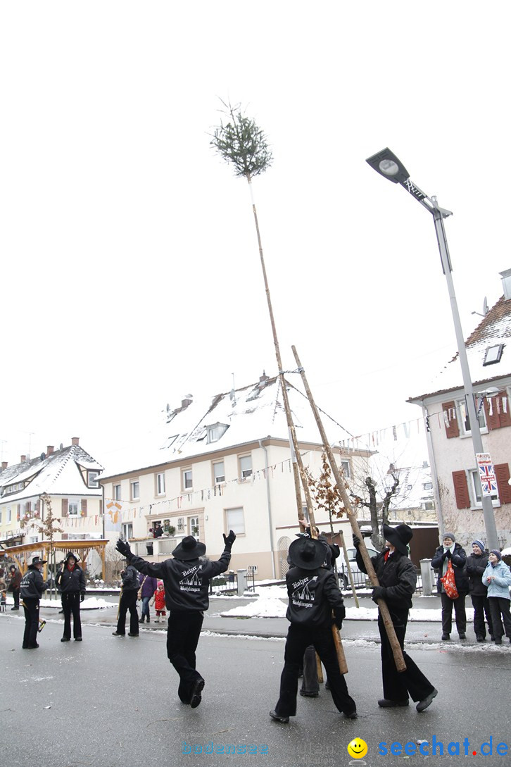 Narrentreffen-Radolfzell-20012013-bodensee-community-seechat-de_311.JPG