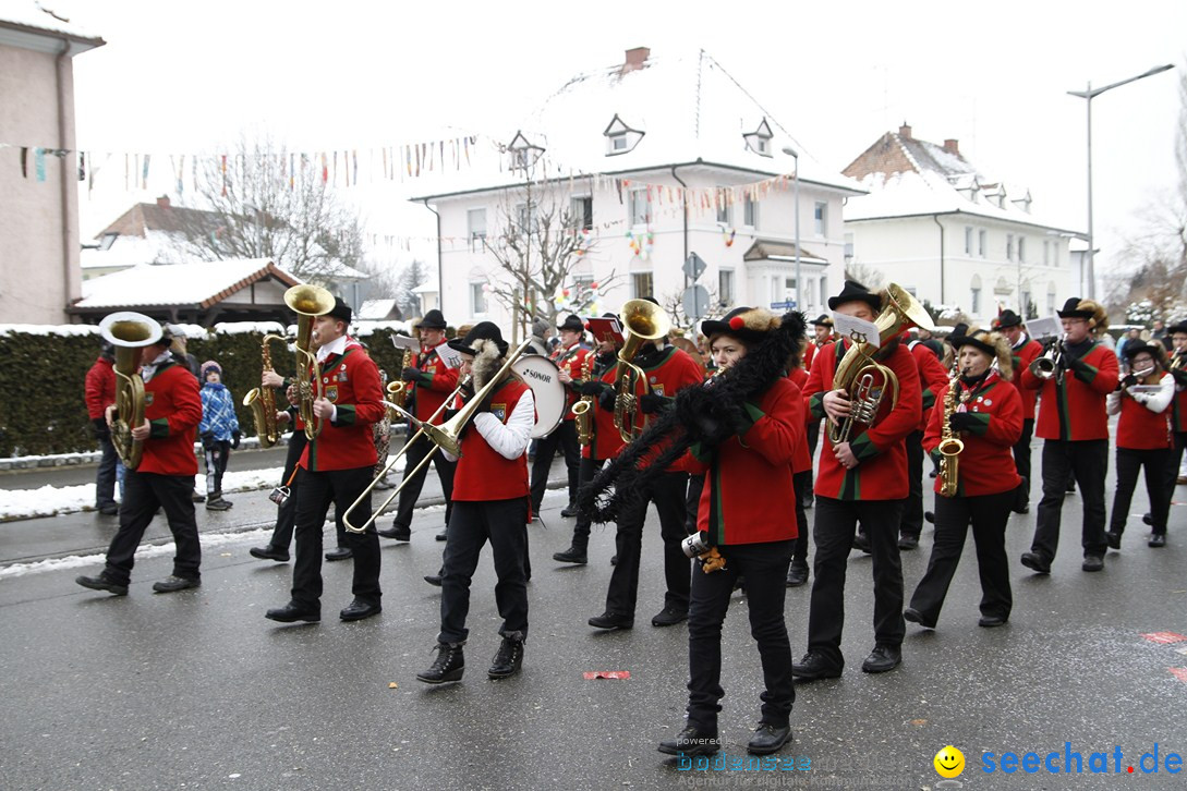 Narrentreffen-Radolfzell-20012013-bodensee-community-seechat-de_321.JPG