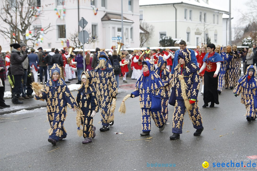 Narrentreffen-Radolfzell-20012013-bodensee-community-seechat-de_333.JPG