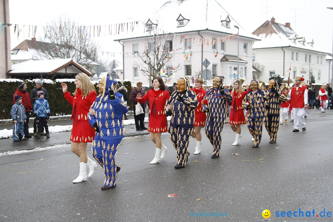 Narrentreffen-Radolfzell-20012013-bodensee-community-seechat-de_335.JPG