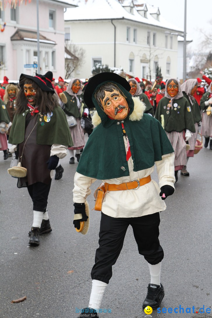 Narrentreffen-Radolfzell-20012013-bodensee-community-seechat-de_349.JPG
