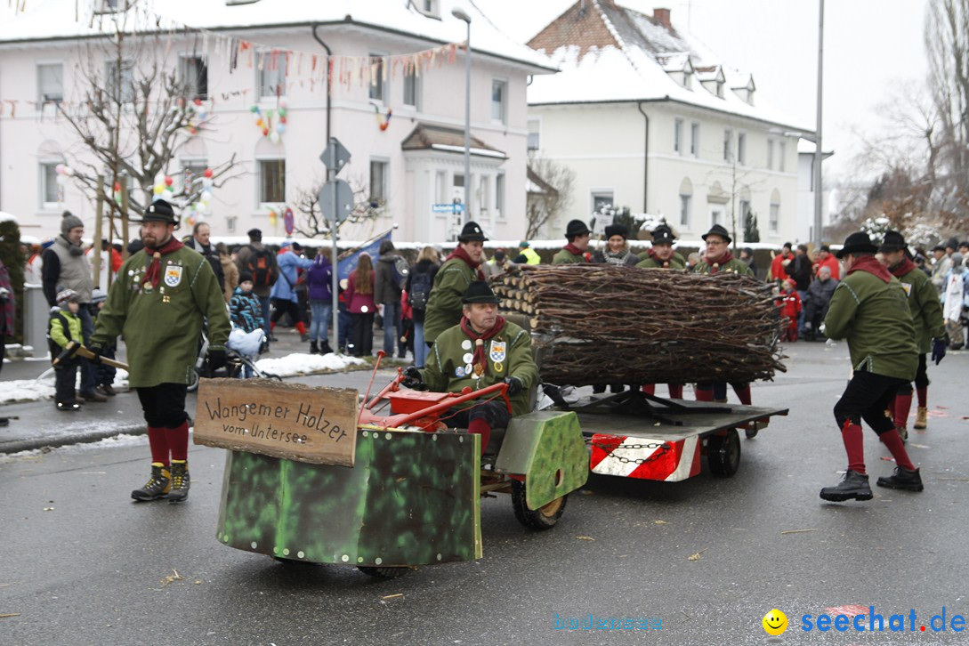 Narrentreffen-Radolfzell-20012013-bodensee-community-seechat-de_354.JPG