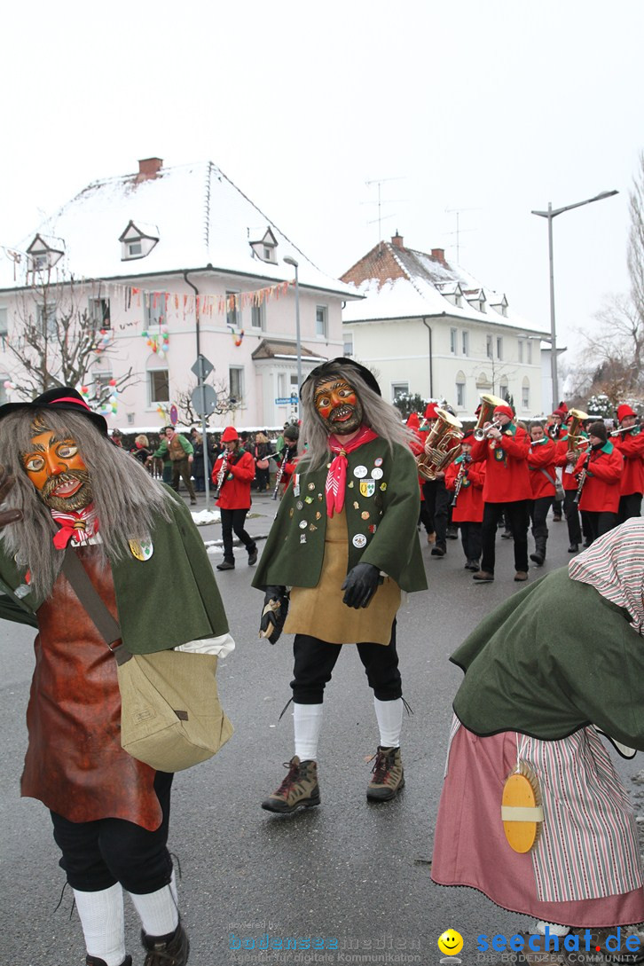 Narrentreffen-Radolfzell-20012013-bodensee-community-seechat-de_359.JPG