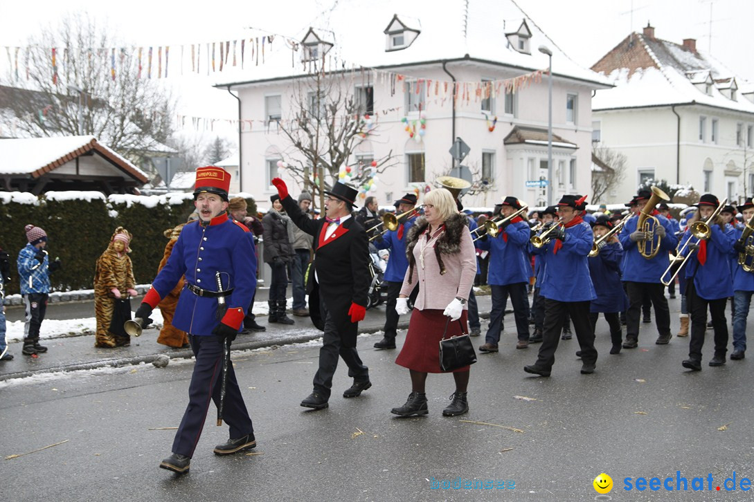 Narrentreffen-Radolfzell-20012013-bodensee-community-seechat-de_36.JPG