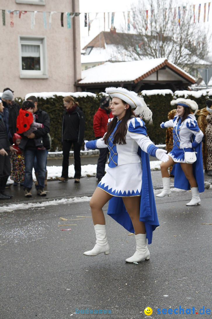 Narrentreffen-Radolfzell-20012013-bodensee-community-seechat-de_361.JPG
