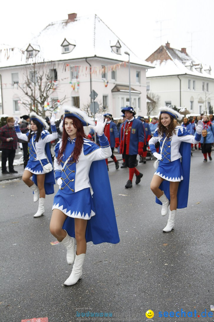 Narrentreffen-Radolfzell-20012013-bodensee-community-seechat-de_362.JPG