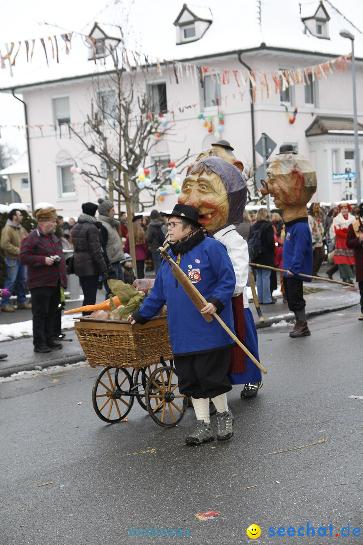 Narrentreffen-Radolfzell-20012013-bodensee-community-seechat-de_376.JPG