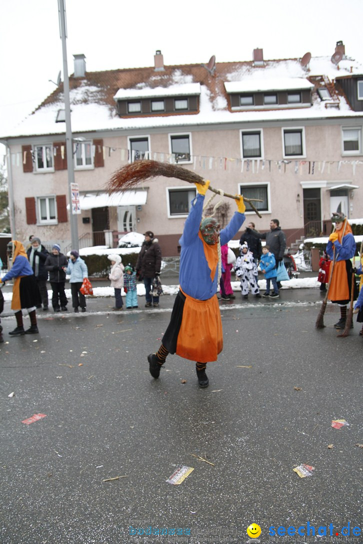 Narrentreffen-Radolfzell-20012013-bodensee-community-seechat-de_436.JPG