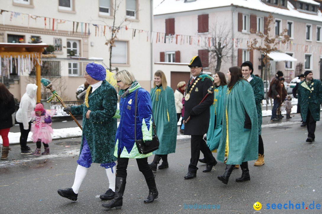 Narrentreffen-Radolfzell-20012013-bodensee-community-seechat-de_473.JPG