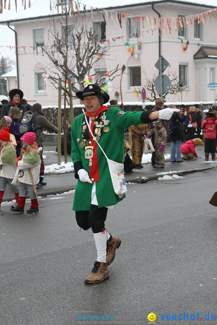 Narrentreffen-Radolfzell-20012013-bodensee-community-seechat-de_74.JPG