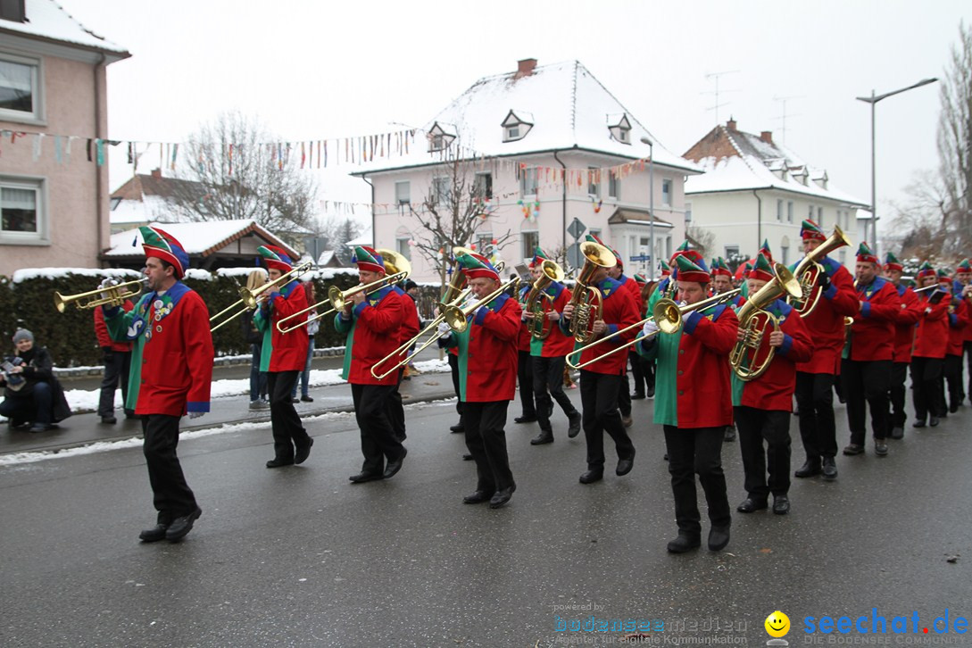 Narrentreffen-Radolfzell-20012013-bodensee-community-seechat-de_87.JPG