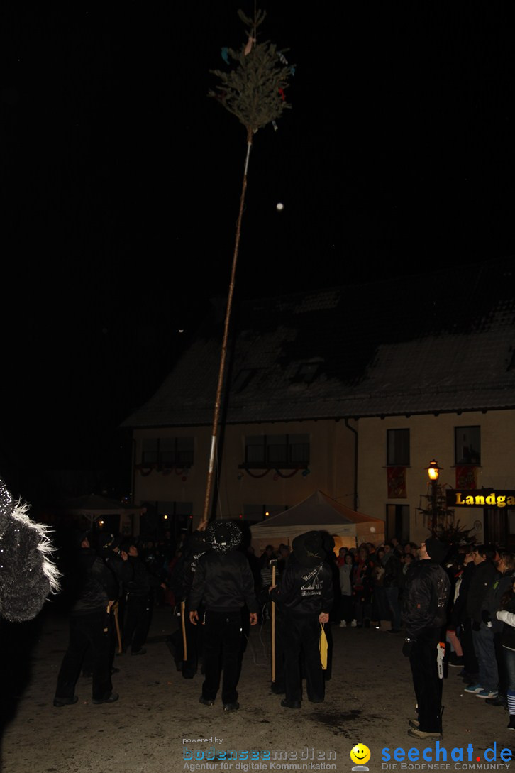 Nachtumzug und Fasnetsparty: Duchtlingen am Bodensee, 25.01.2013