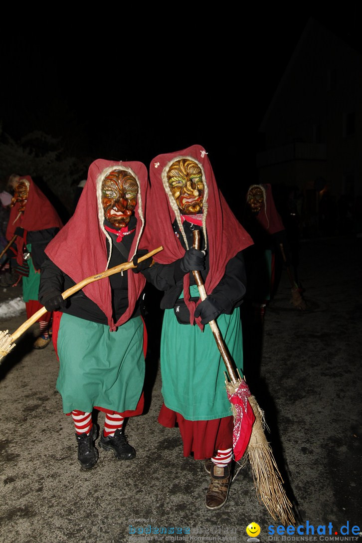 Nachtumzug und Fasnetsparty: Duchtlingen am Bodensee, 25.01.2013