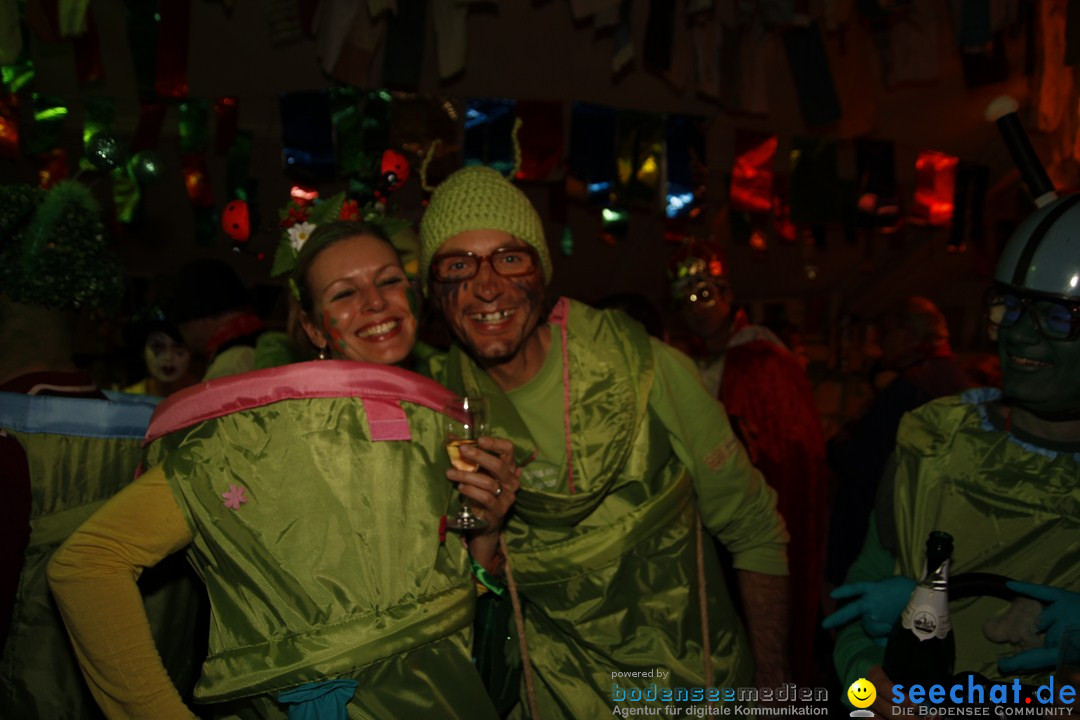 Zunftball der Poppele Zunft: Singen am Bodensee, 02.02.2013