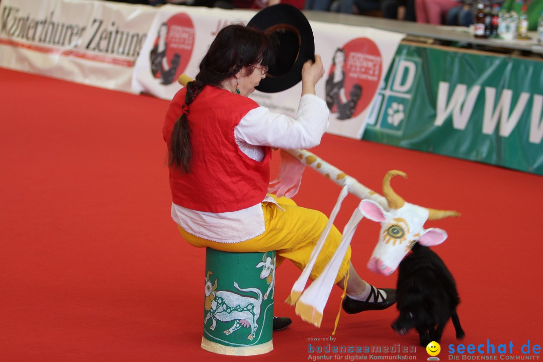 HUND 2013 - Hundemesse: Winterthur - Schweiz, 03.02.2013