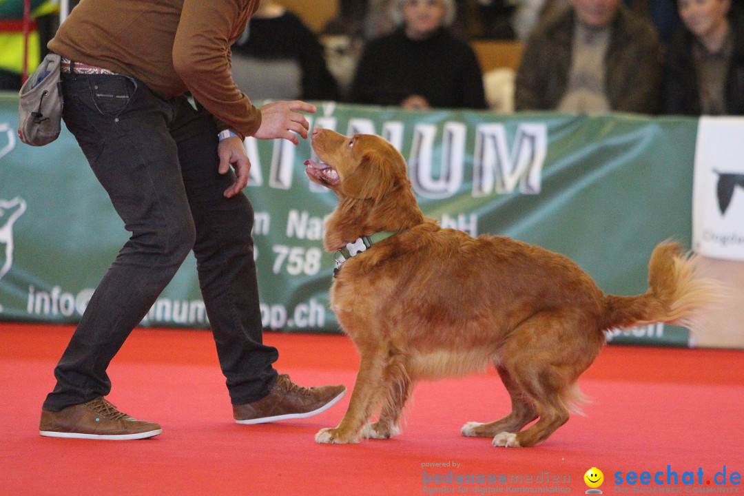 HUND 2013 - Hundemesse: Winterthur - Schweiz, 03.02.2013