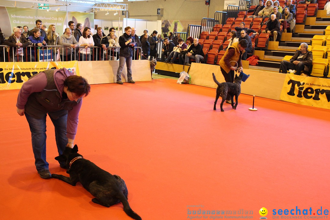 HUND 2013 - Hundemesse: Winterthur - Schweiz, 03.02.2013