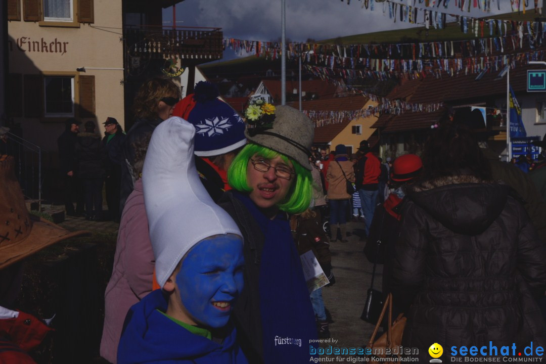 Narrentreffen - NV Kamelia: Tengen am Bodensee, 03.02.2013
