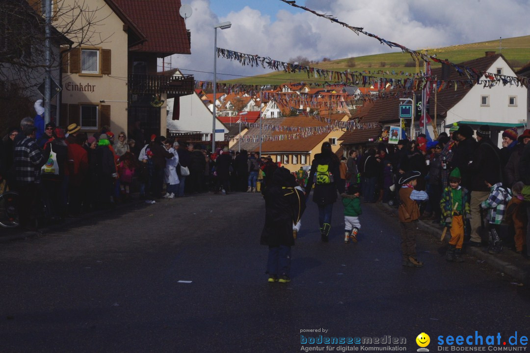 Narrentreffen - NV Kamelia: Tengen am Bodensee, 03.02.2013