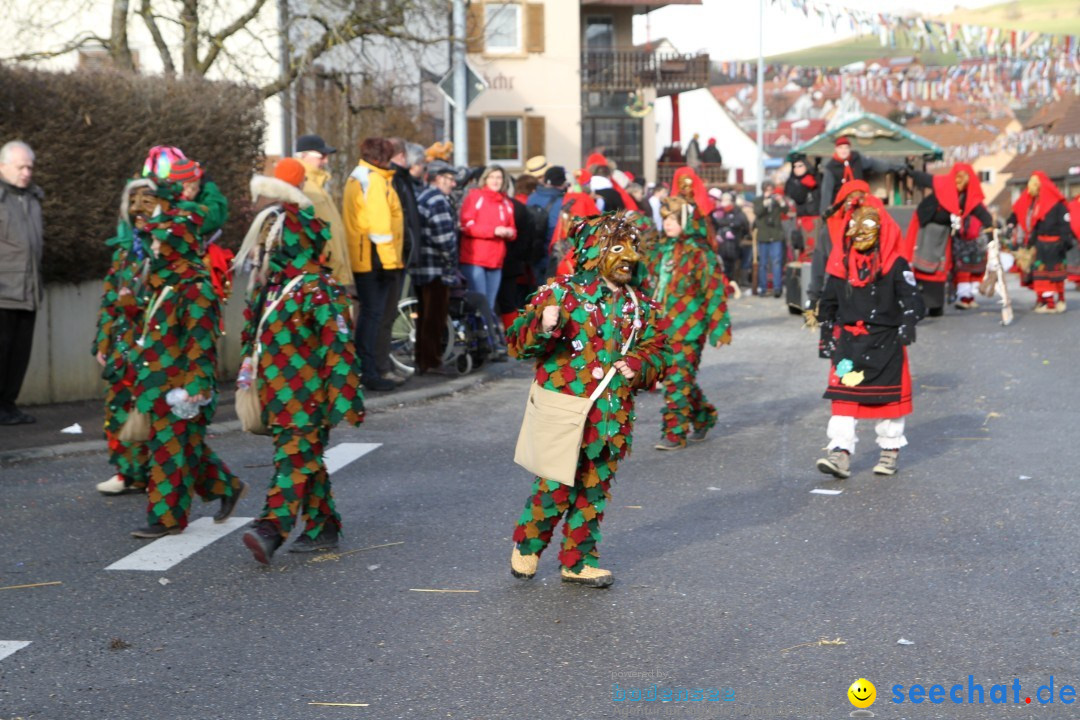 Narrentreffen - NV Kamelia: Tengen am Bodensee, 03.02.2013