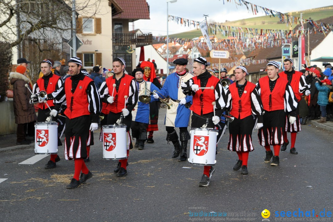 Narrentreffen - NV Kamelia: Tengen am Bodensee, 03.02.2013