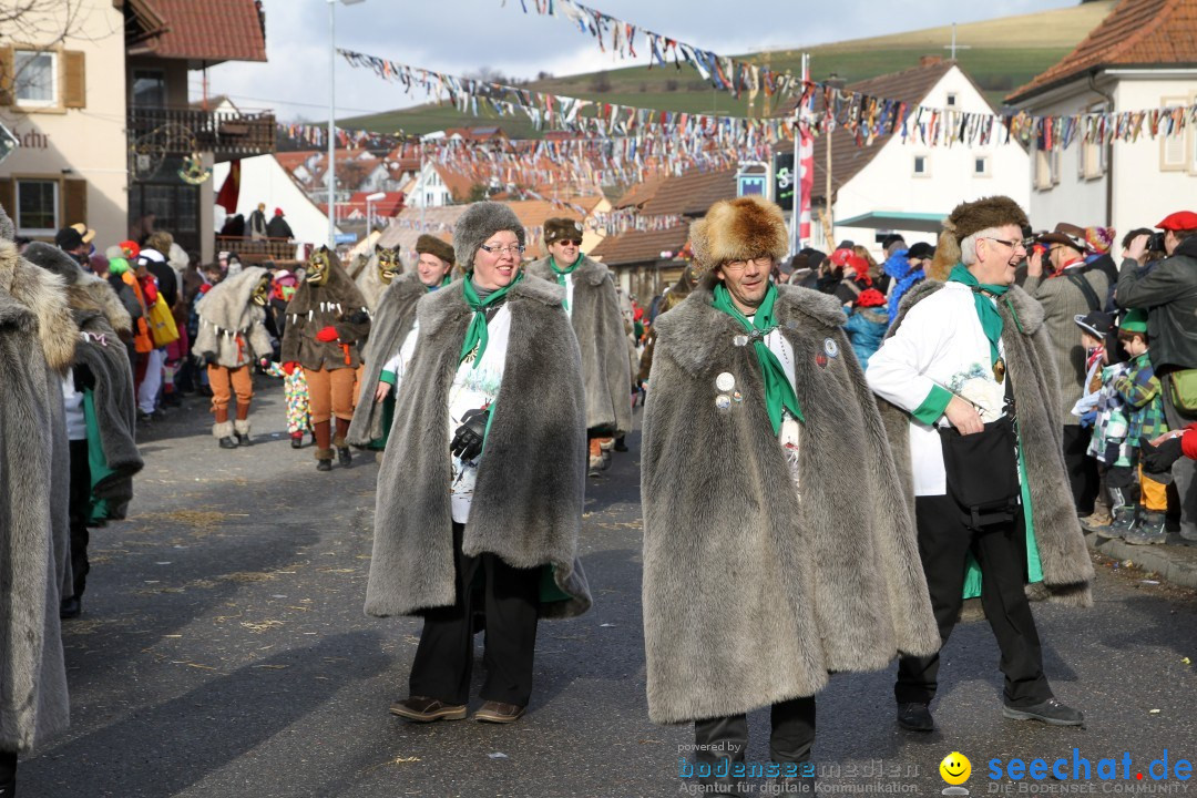 Narrentreffen - NV Kamelia: Tengen am Bodensee, 03.02.2013
