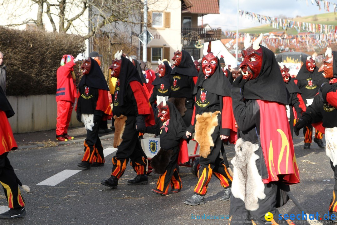 Narrentreffen - NV Kamelia: Tengen am Bodensee, 03.02.2013