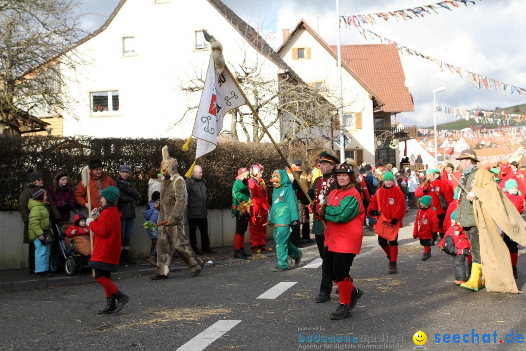 Narrentreffen - NV Kamelia: Tengen am Bodensee, 03.02.2013