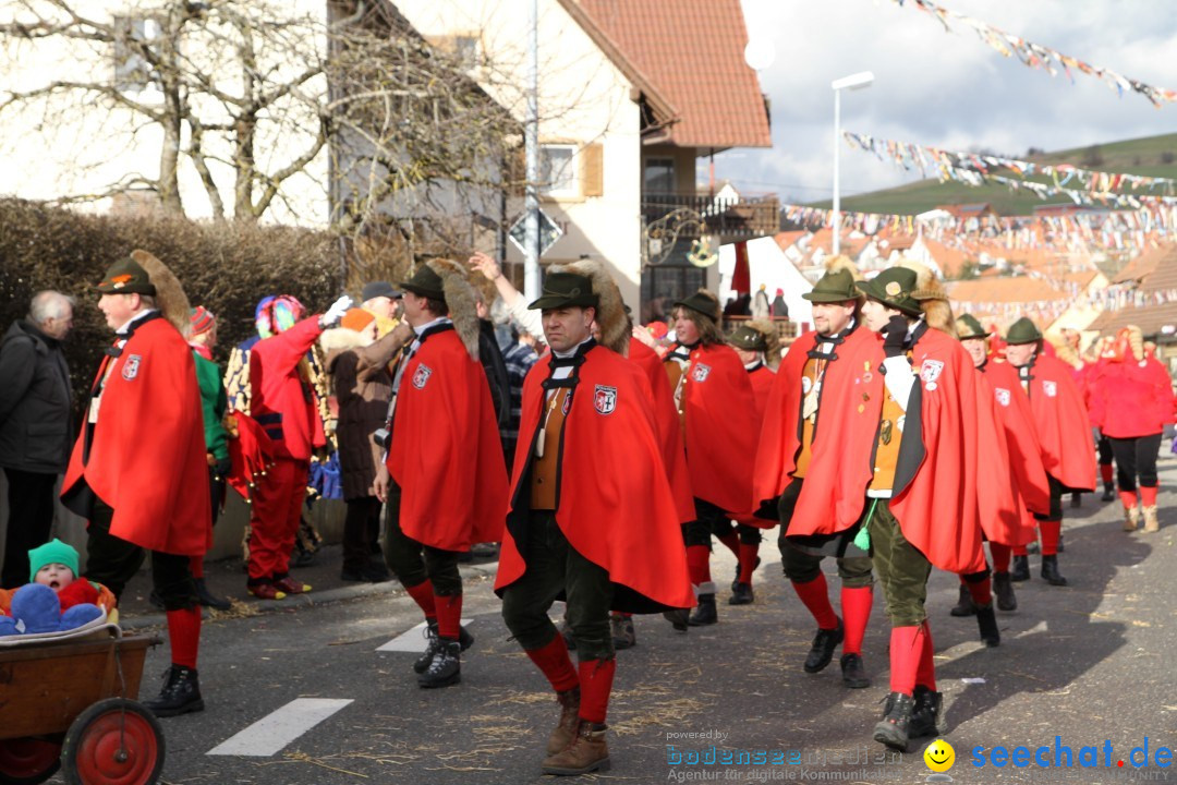 Narrentreffen - NV Kamelia: Tengen am Bodensee, 03.02.2013