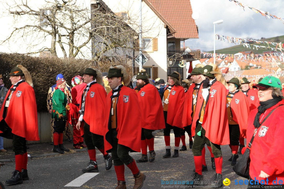 Narrentreffen - NV Kamelia: Tengen am Bodensee, 03.02.2013