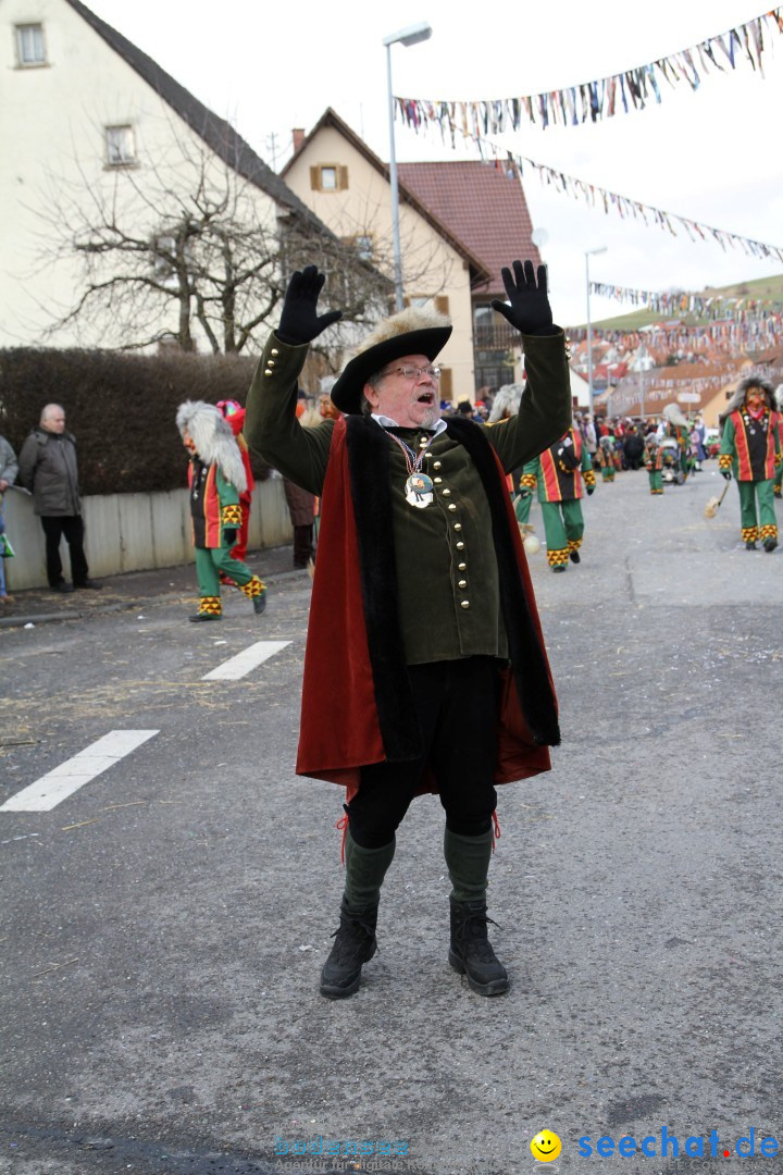 Narrentreffen - NV Kamelia: Tengen am Bodensee, 03.02.2013