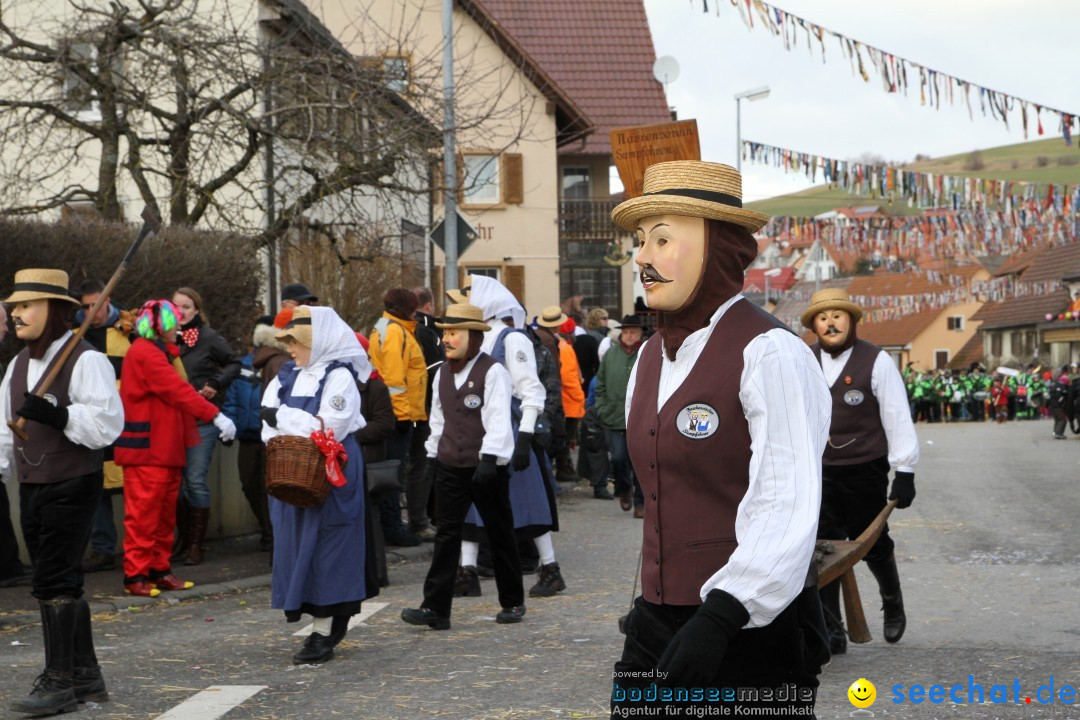 Narrentreffen - NV Kamelia: Tengen am Bodensee, 03.02.2013