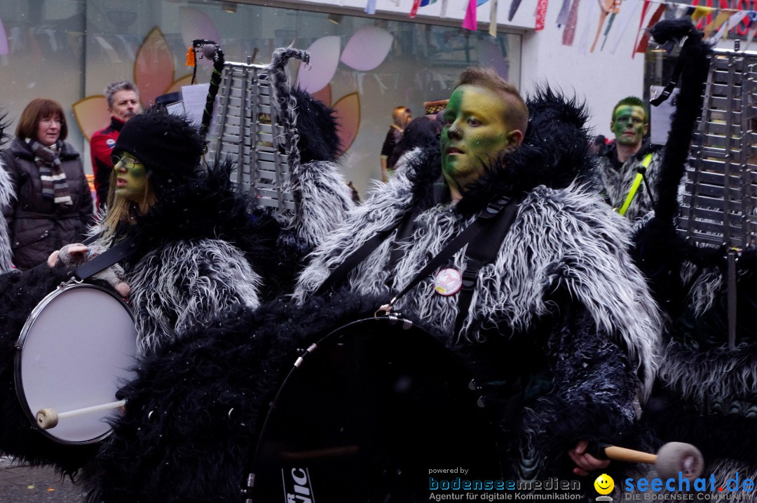 Narrenbaumumzug der Poppele-Zunft: Singen am Bodensee, 07.02.2013