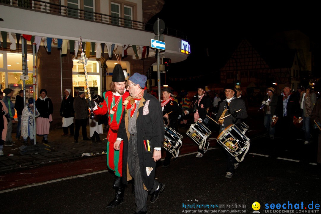 Hemdglonker: Singen am Bodensee, 07.02.2013